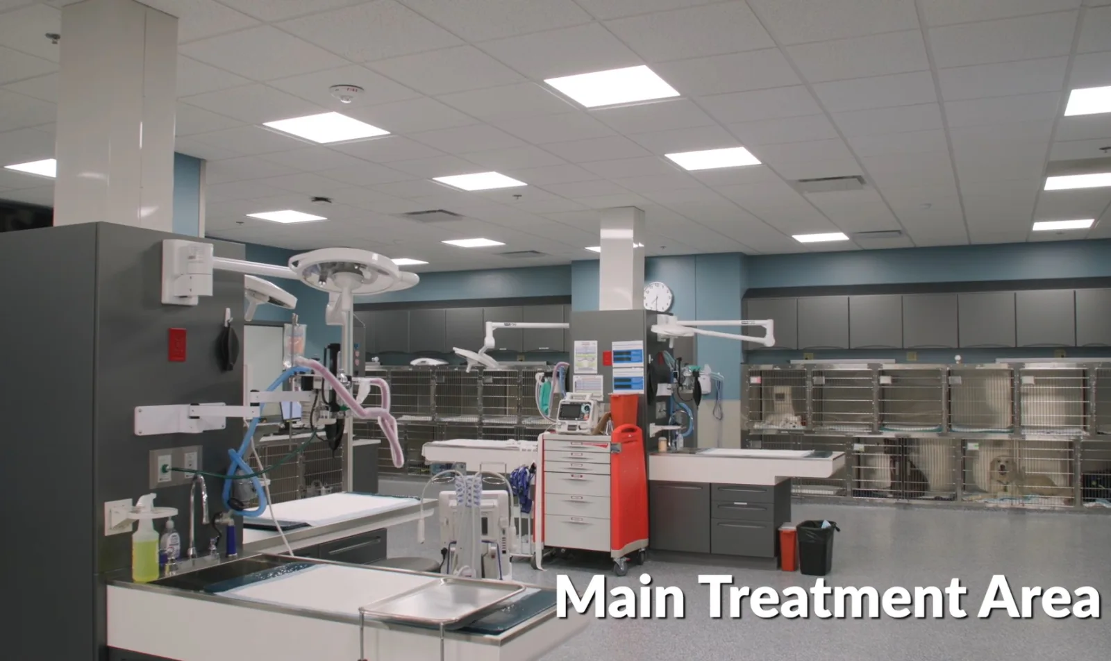 Interior Image of Main Treatment Area of North Dallas Veterinary Emergency & Specialty